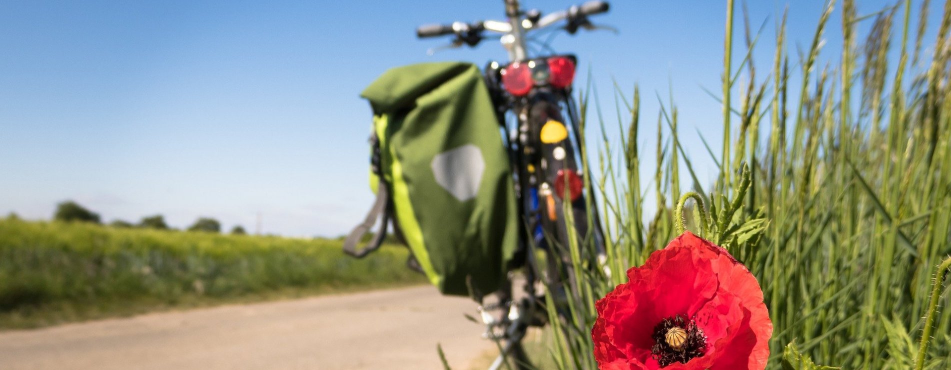 Top 5 fietsroutes Betuwe