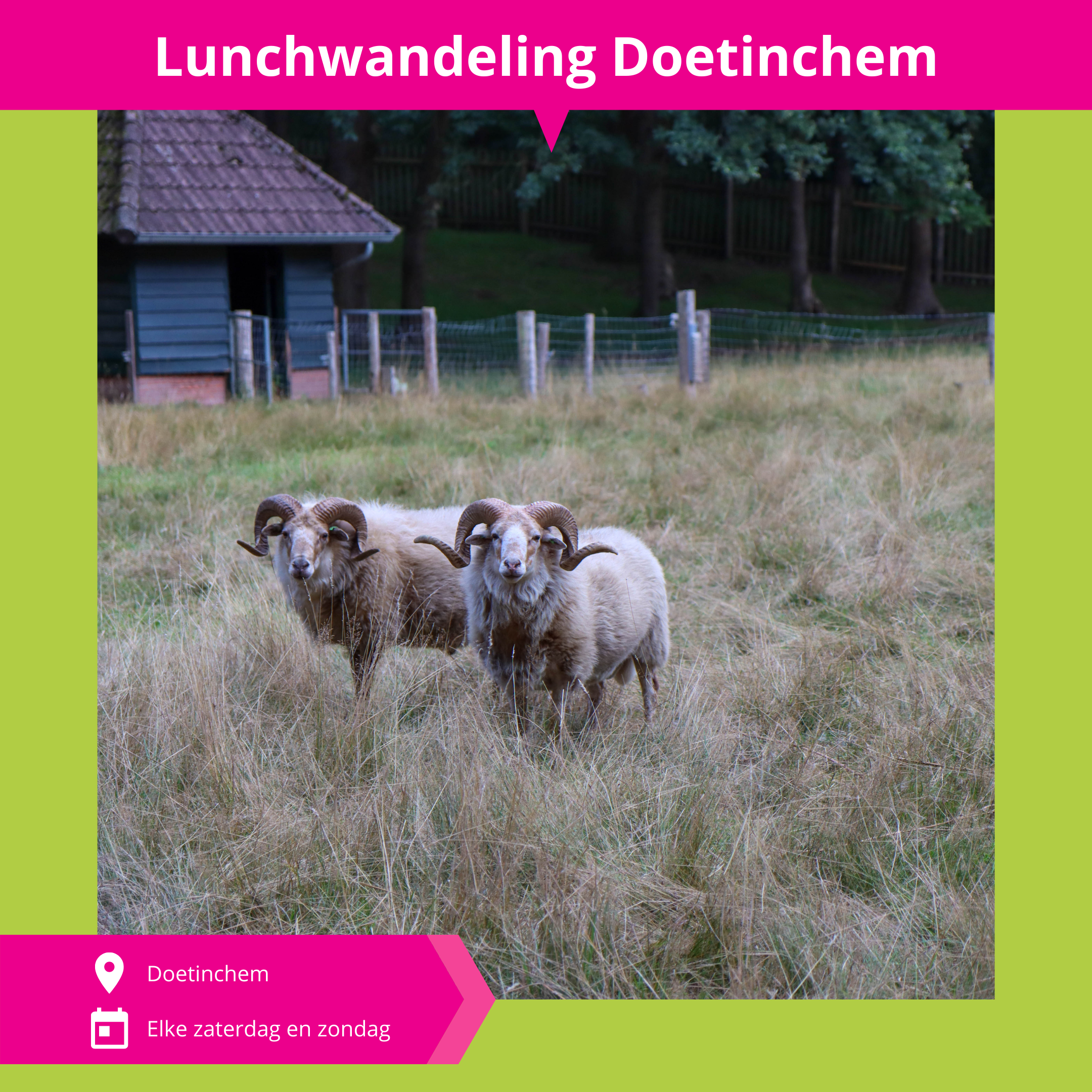 De_Vrijetijdkrant_Achterhoek_Lunchwandeling_Doetinchem_insta_1