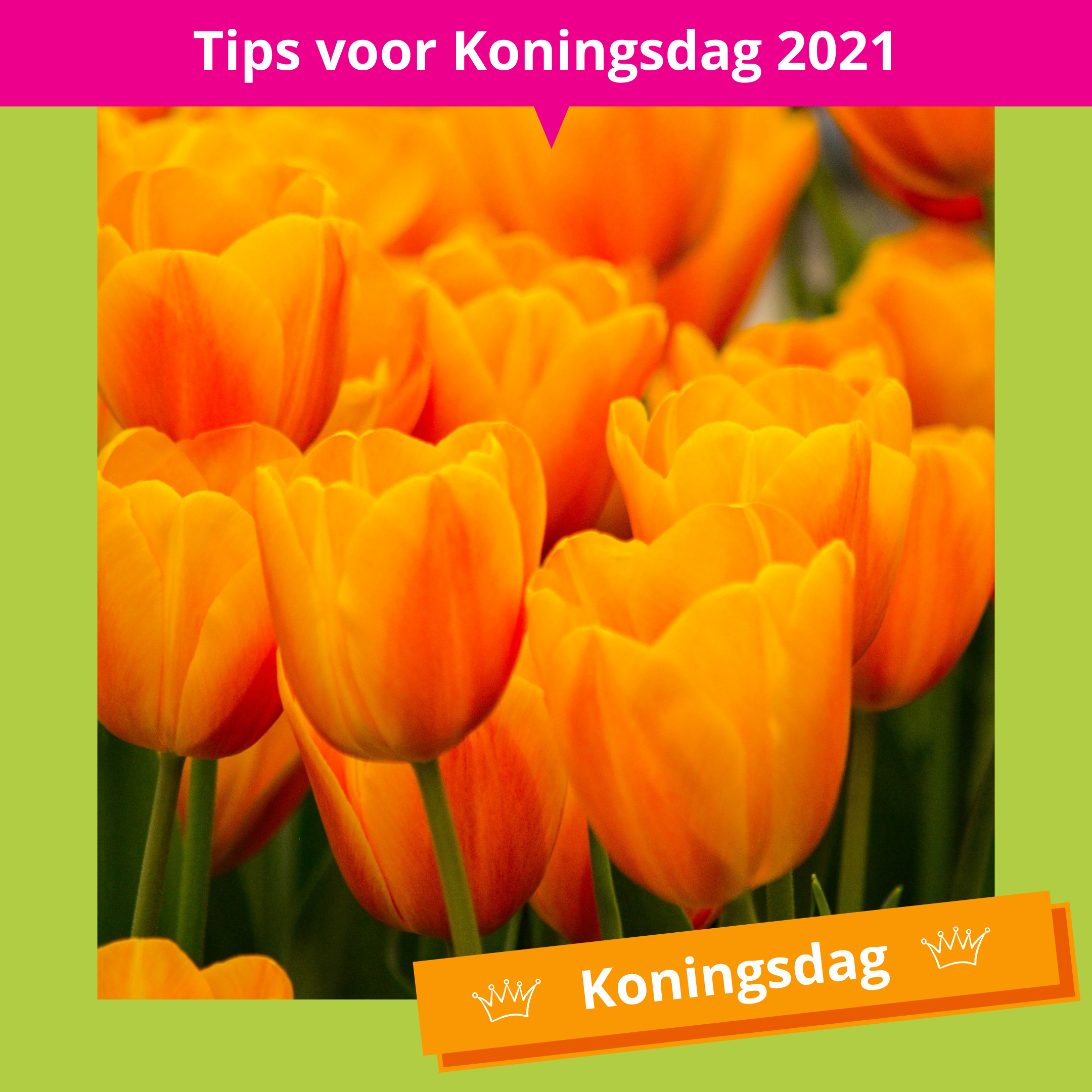 De_Vrijetijdkrant_Tips_voor_Koningsdag_2021_insta