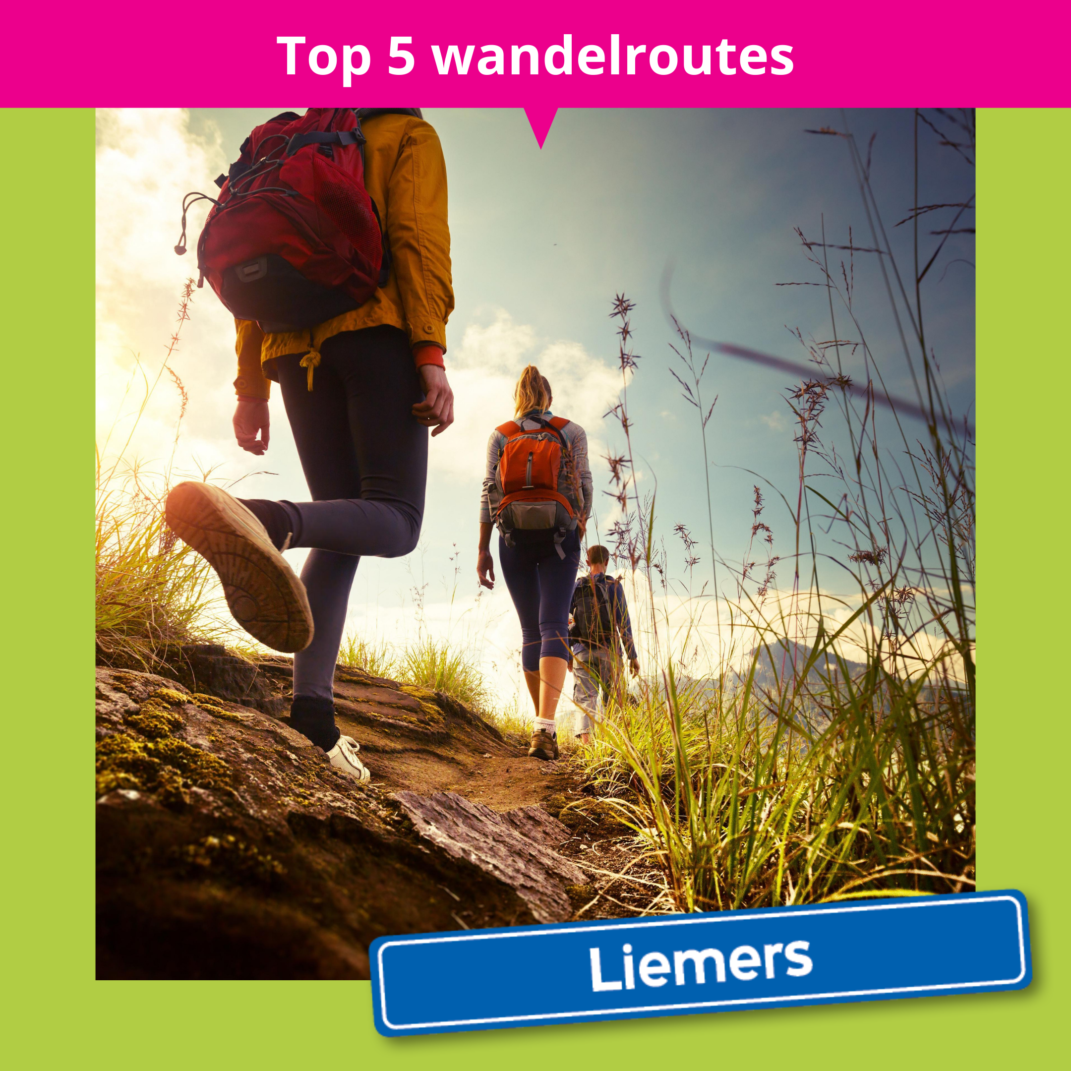 De_Vrijetijdkrant_Top_5_wandelroutes_in_de_Liemers_insta