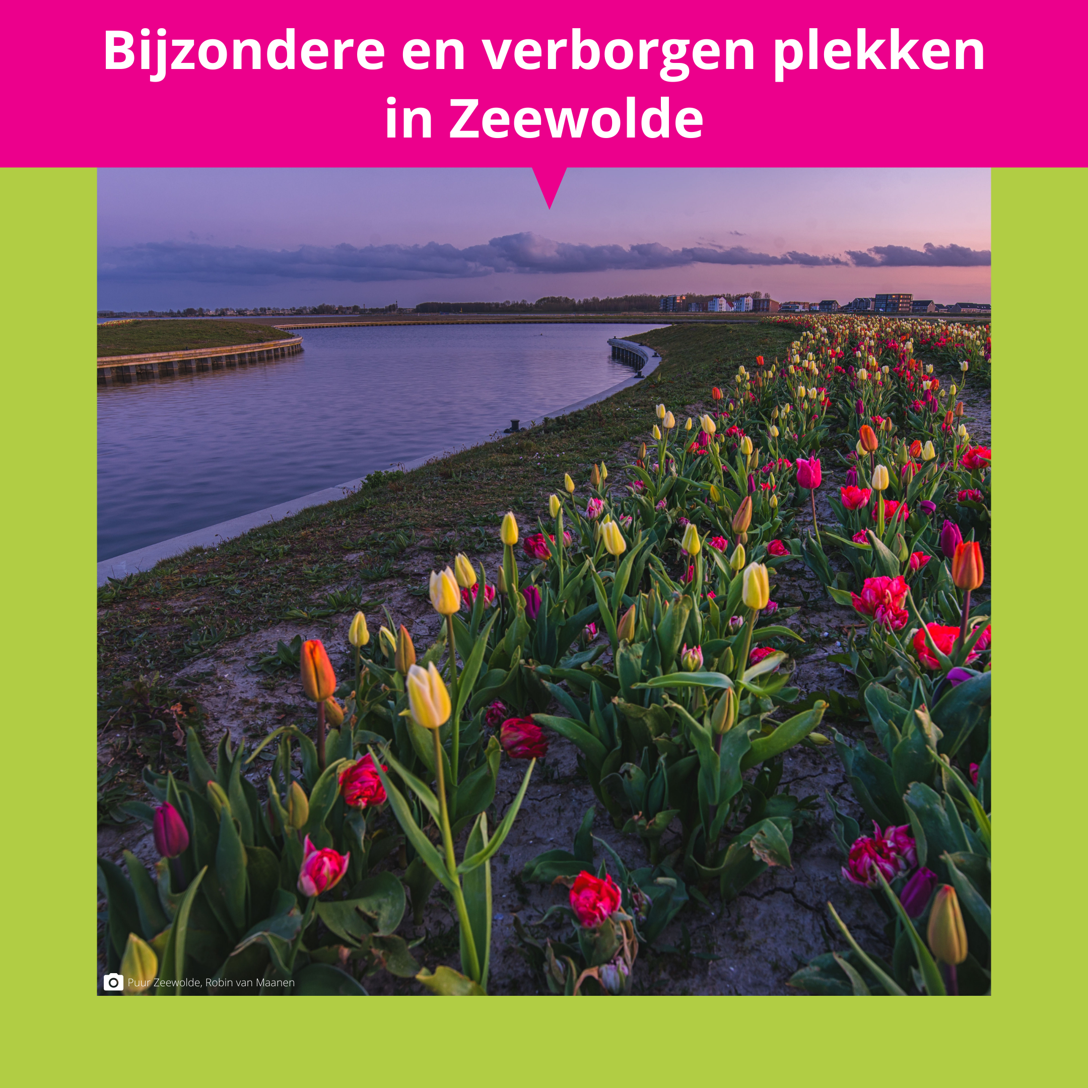 De_Vrijetijdkrant_bijzondere_en_verborgen_plekken_in_Zeewolde_insta_1