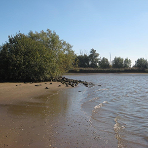 De_Vrijetijdkrant_buitenzwembaden_en_zwemplassen_Utrecht_Recreatiegebied_t_Waal