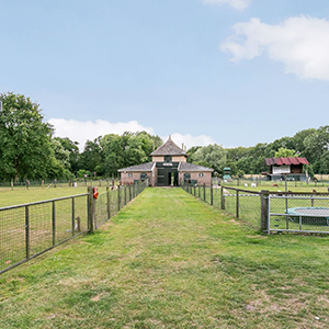 De_Vrijetijdkrant_kinderboerderijen_Achterhoek_Beleefboerderij_de_kleine_carrousel_laren_gelderland