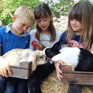 De_Vrijetijdkrant_kinderboerderijen_Achterhoek_kinderboerderij_de_schouw_zutphen
