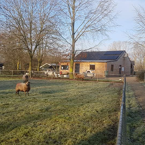De_Vrijetijdkrant_kinderboerderijen_Achterhoek_kinderboerderij_kokezier_doetinchem