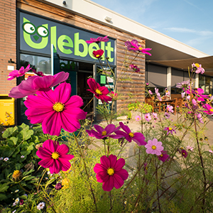 De_Vrijetijdkrant_kinderboerderijen_Steden-Driehoek_kinderboerderij_de_ulebelt_deventer_fotograaf_Bert_de_Graaf