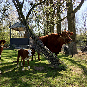 De_Vrijetijdkrant_kinderboerderijen_Utrecht_Stadsboerderij_de_Koppelsteede