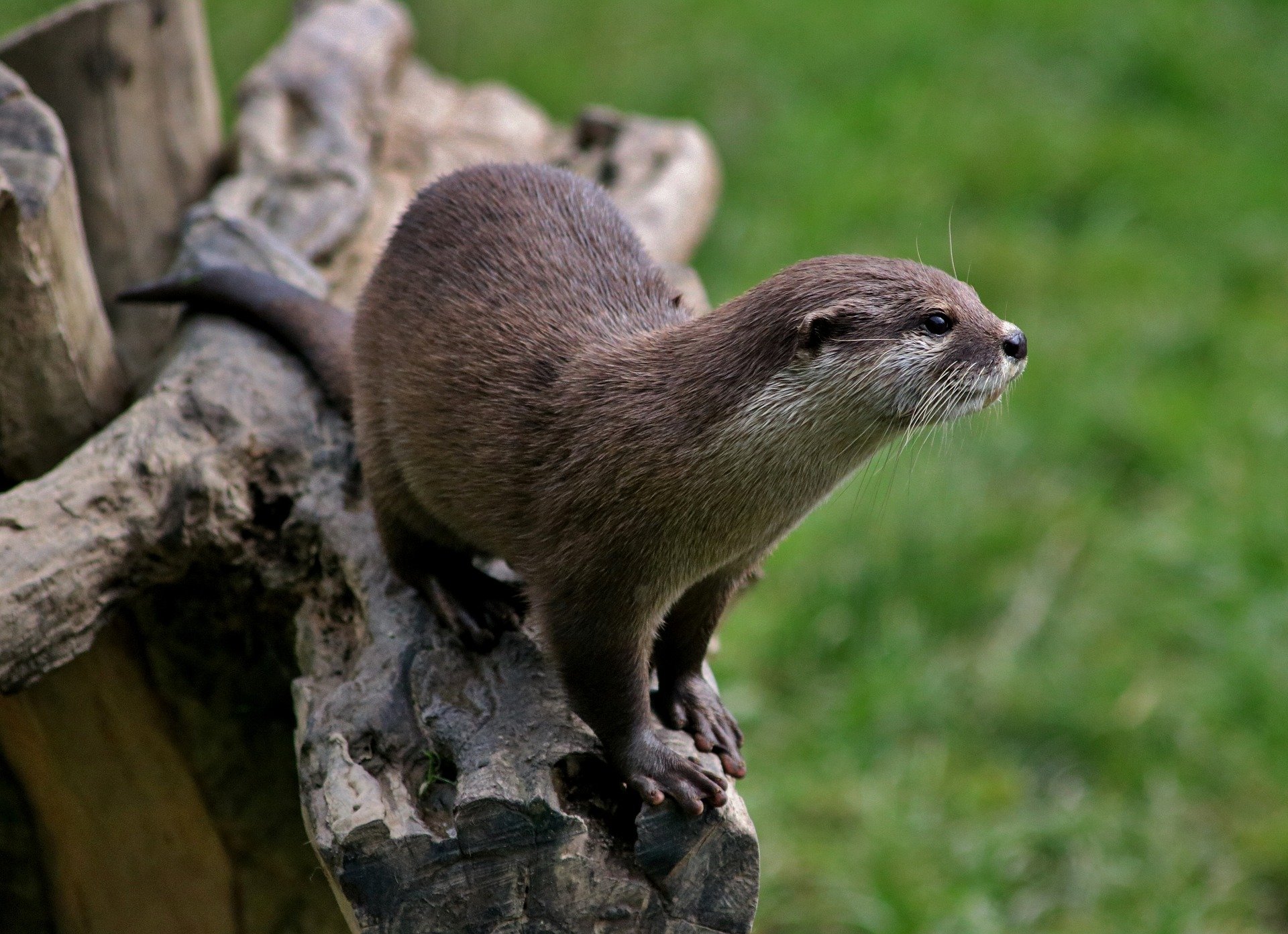 De_Vrijetijdkrant_top_5_bezienswaardigheden_Flevoland_Natuurpark_Lelystad