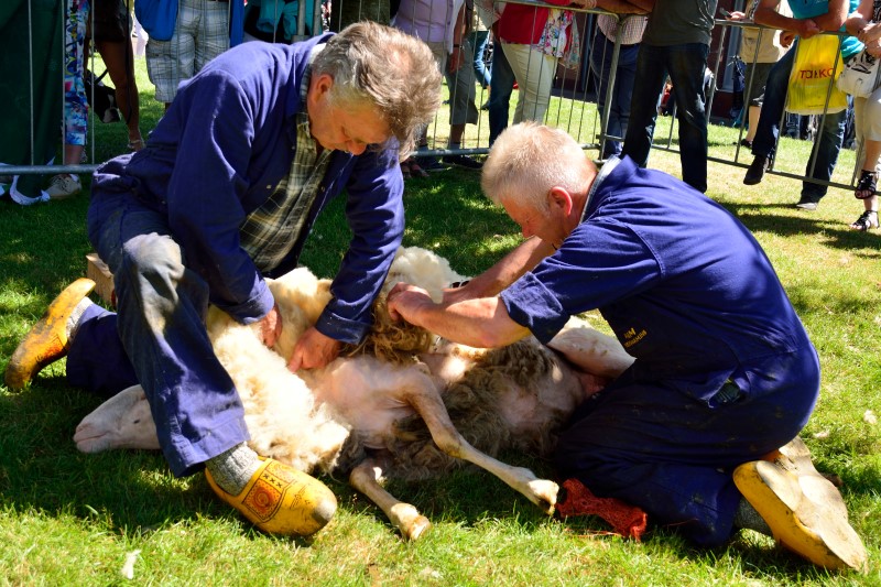 schaapscheerdersfeest_Heerde