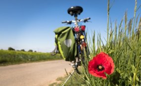 Top 5 routes door de Betuwe